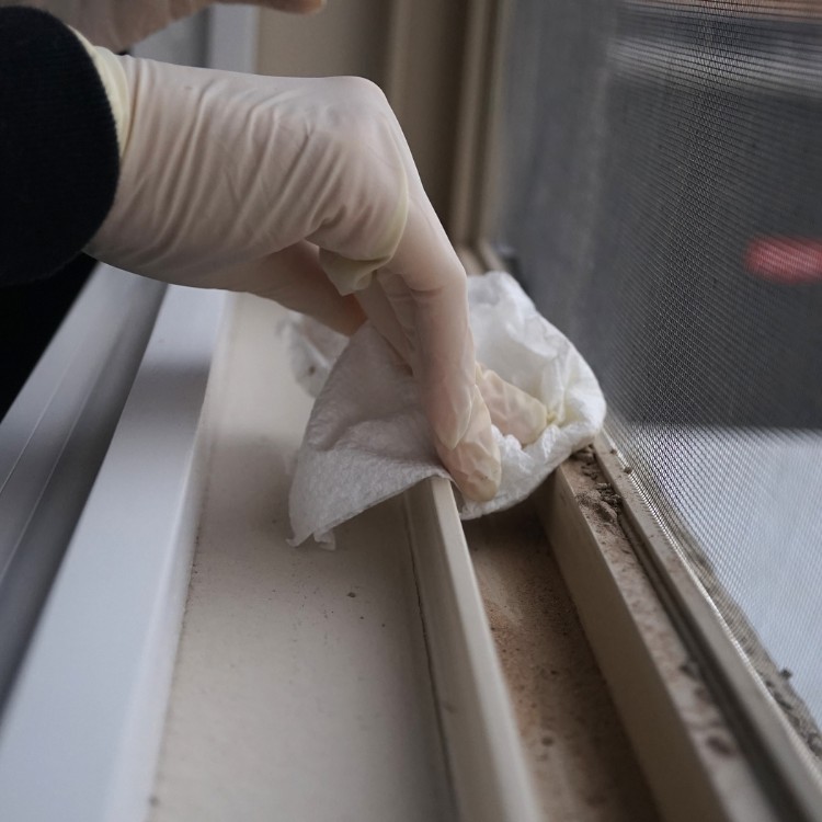 Cleaning services in Prosper, TX